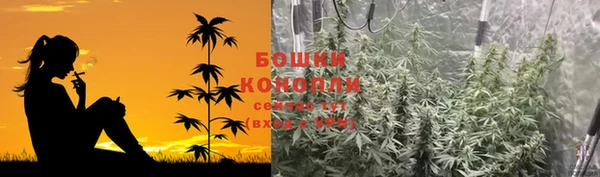 сатива Абинск
