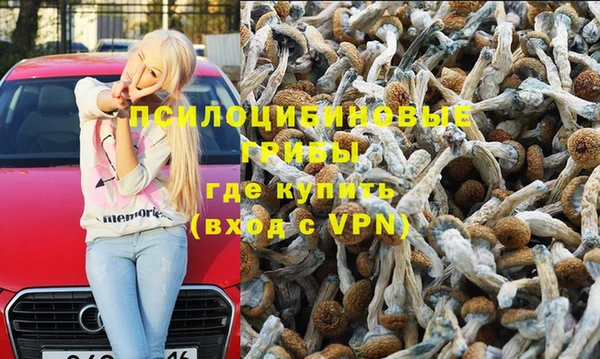 сатива Абинск