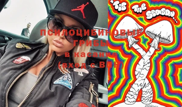 сатива Абинск