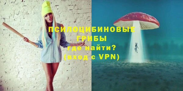 сатива Абинск