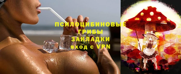 сатива Абинск